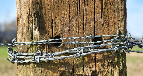 Barbed Wire Fencing Work Tamil Nadu