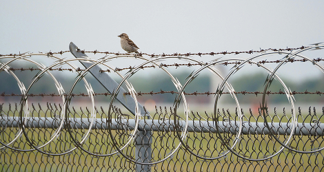 Razor Wire Installation Viluppuram